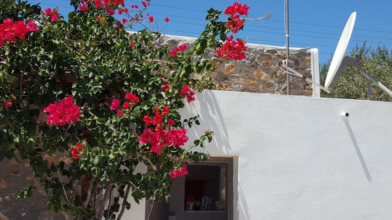 Flora'S Beach And Pool Villa In Syros Liaropá Esterno foto